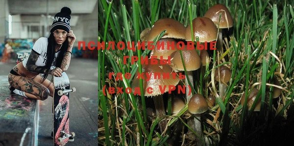 ALPHA PVP Богородицк