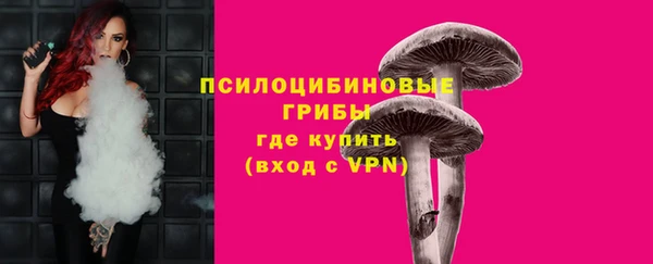 скорость Богданович