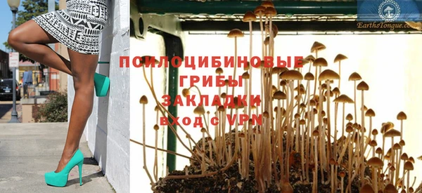ALPHA PVP Богородицк