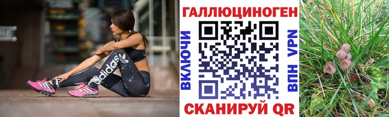 где можно купить наркотик  Красный Кут  Псилоцибиновые грибы Cubensis 